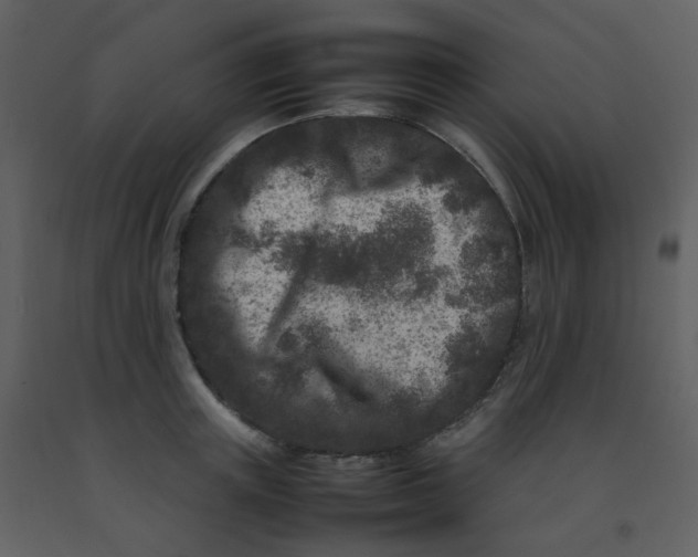 X0000092270851200710051338