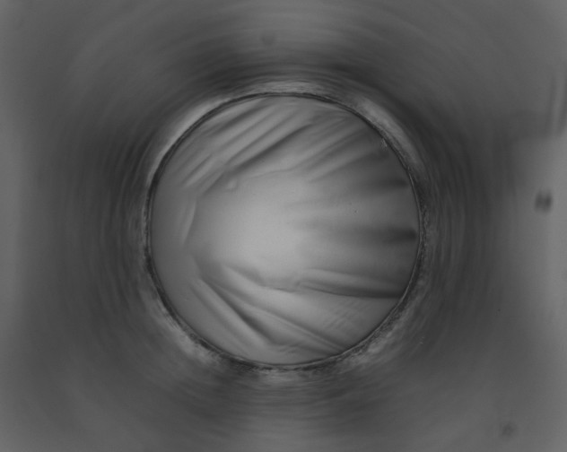 X0000092270852200710051338