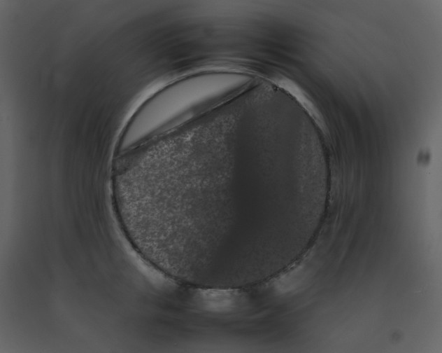 X0000092270853200710051338