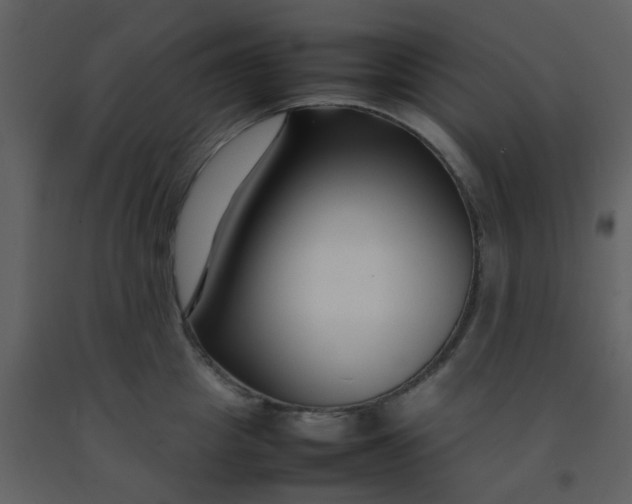 X0000092270857200710051338