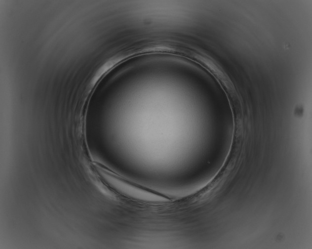 X0000092270858200710051338