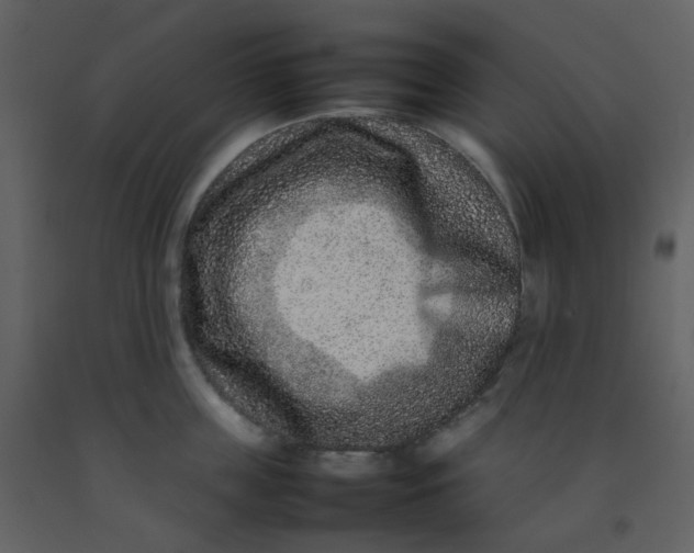 X0000092270859200710051338