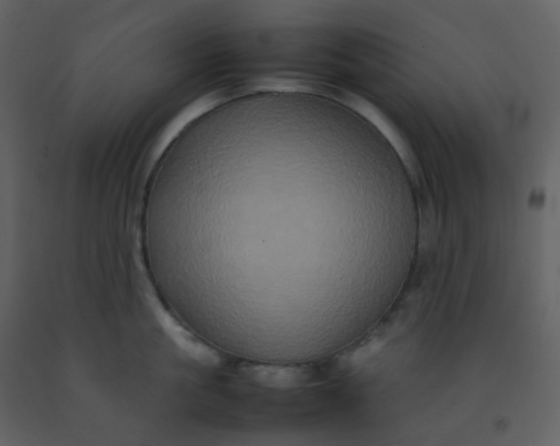 X0000092270861200710051338