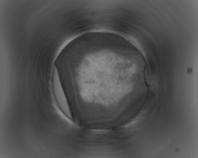 X0000092270863200710051338