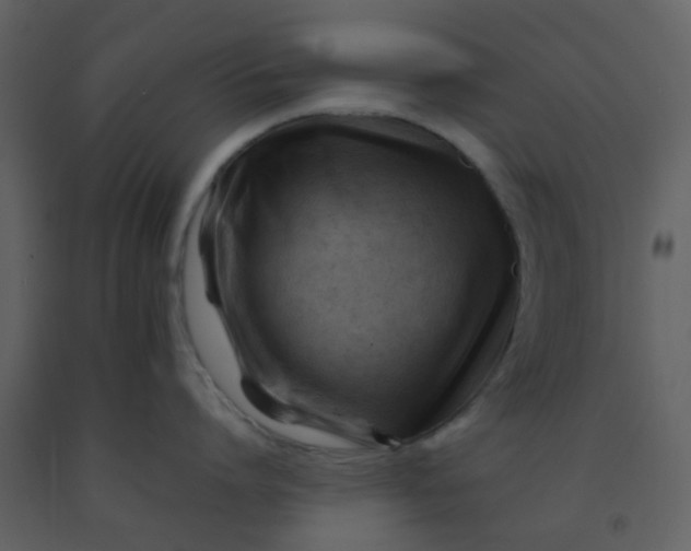 X0000092270864200710051338