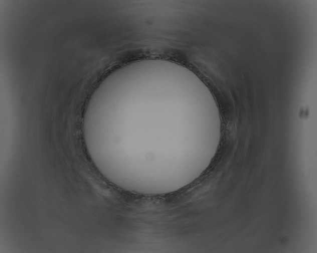 X0000092270865200710051337