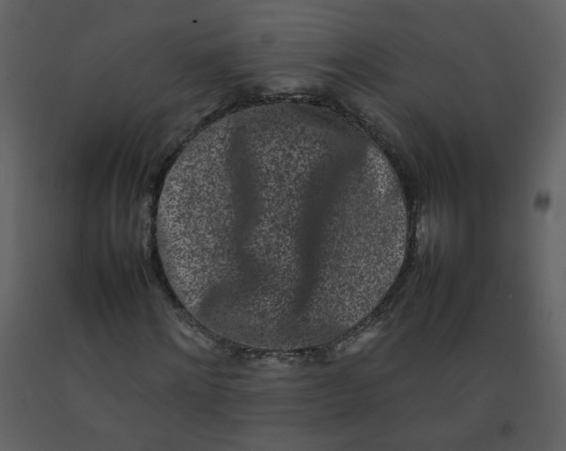 X0000092270868200710051337