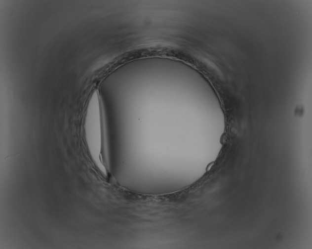 X0000092270869200710051337