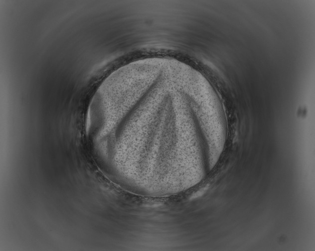 X0000092270870200710051337