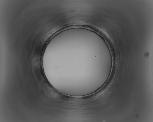 X0000092270873200710051337