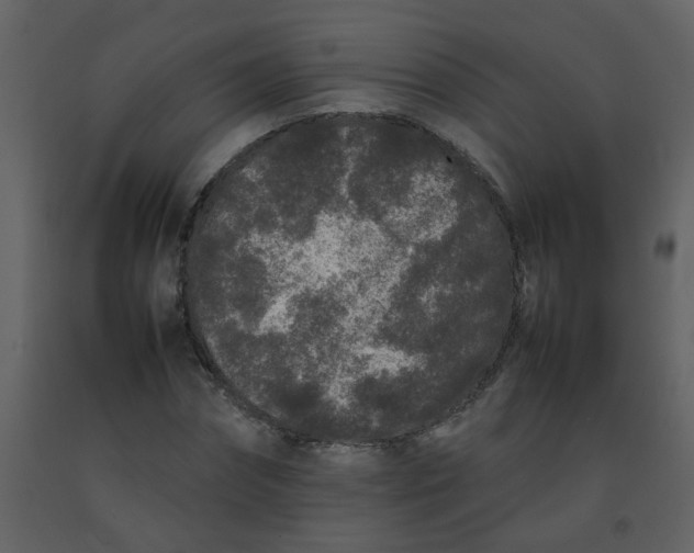 X0000092270874200710051337