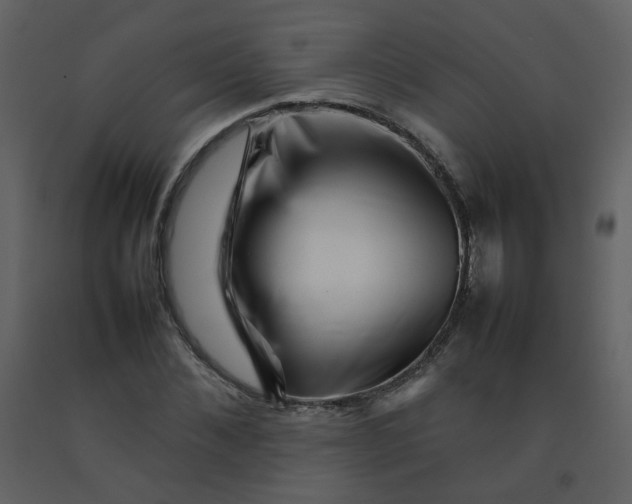 X0000092270876200710051337