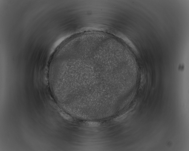 X0000092270878200710051337