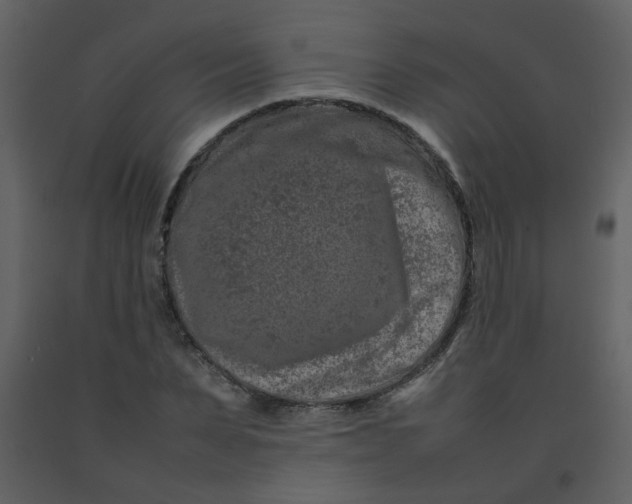 X0000092270879200710051337