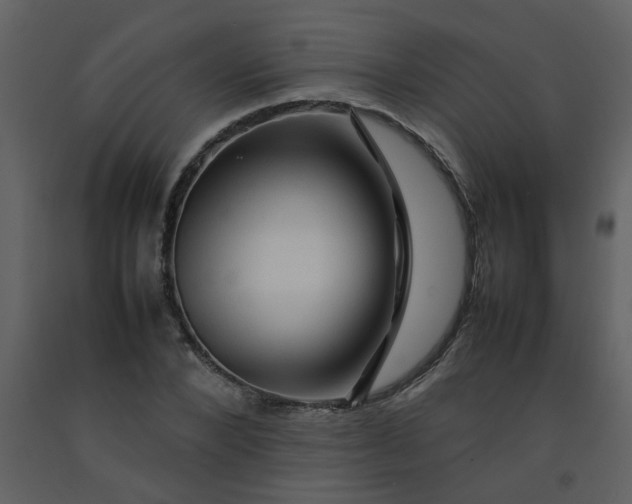 X0000092270880200710051337