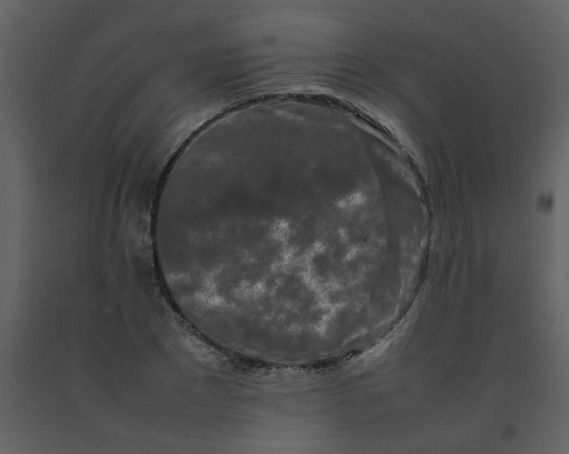 X0000092270881200710051337