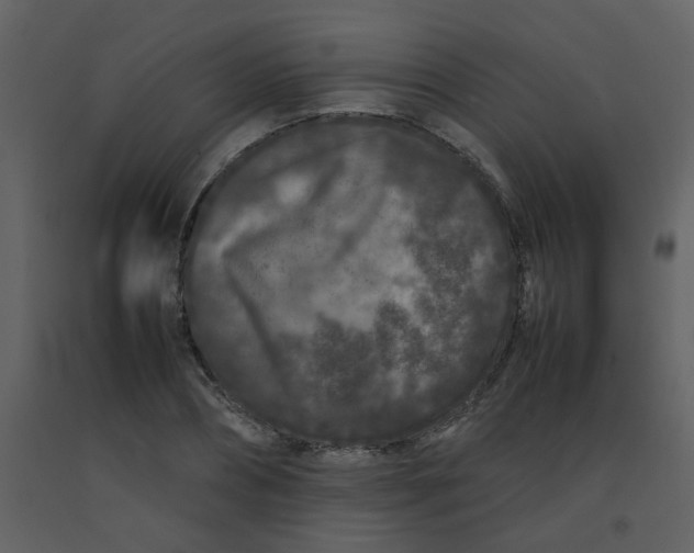 X0000092270882200710051337