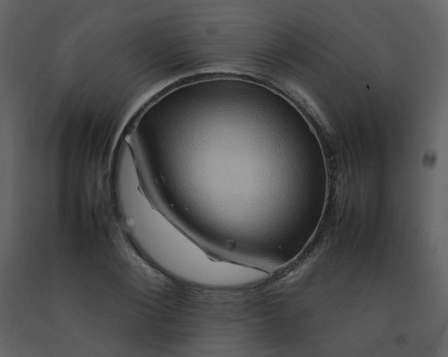 X0000092270884200710051337