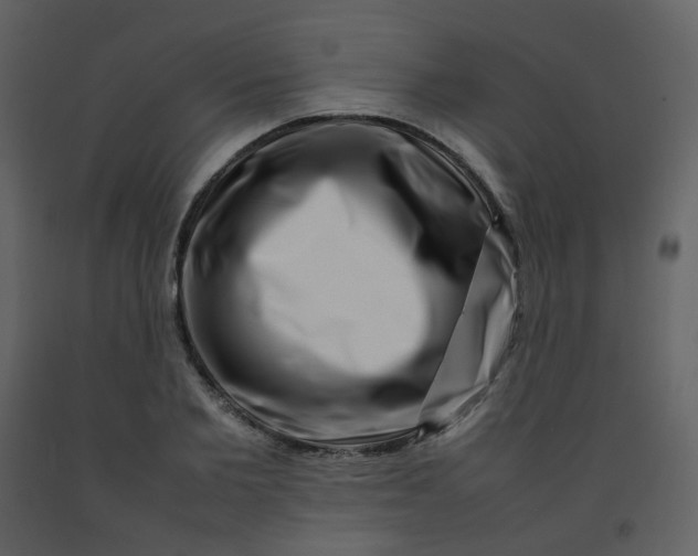 X0000092270885200710051337