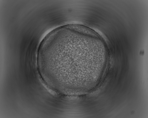 X0000092270886200710051337