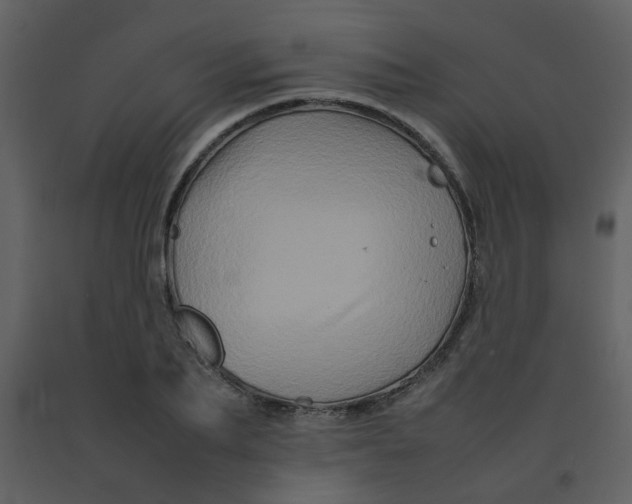 X0000092270887200710051337