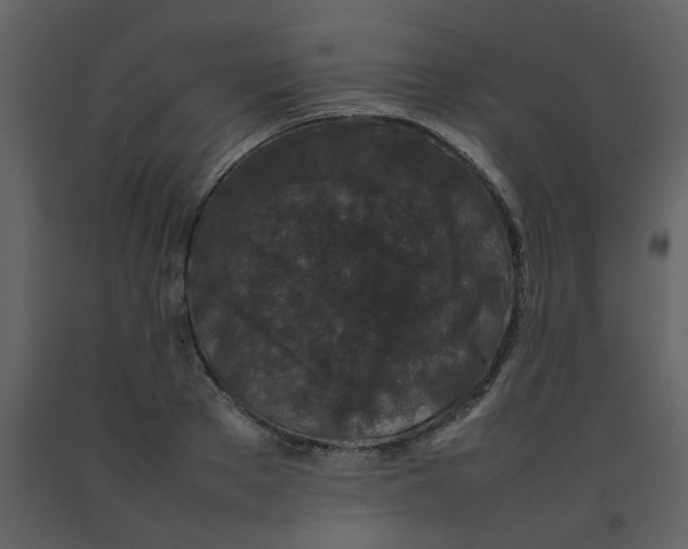 X0000092270889200710051337