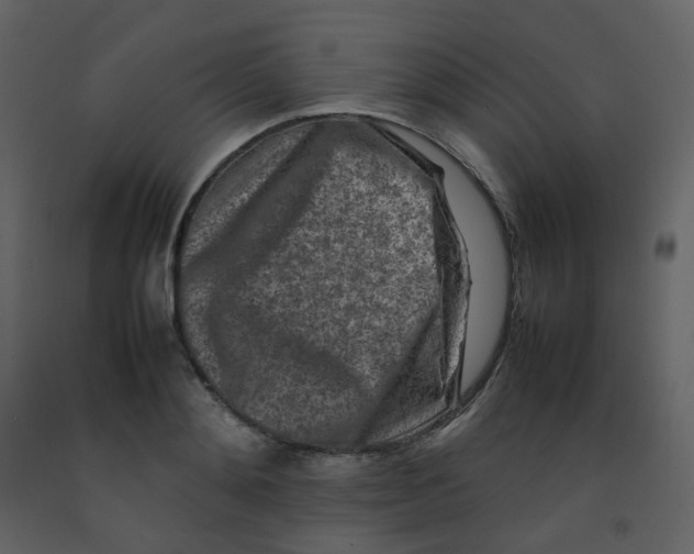 X0000092270892200710051337