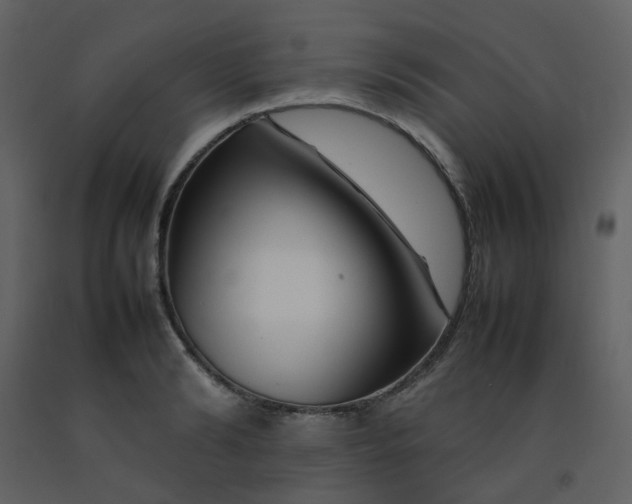 X0000092270894200710051337