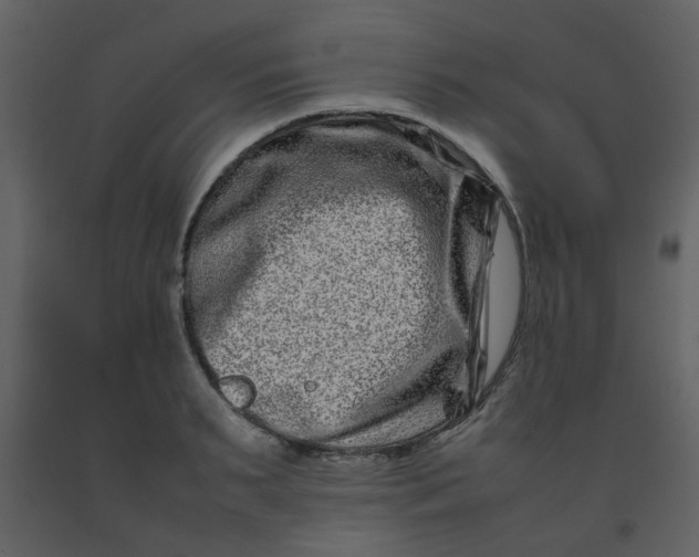 X0000092270895200710051337