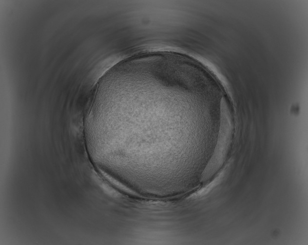 X0000092270897200710051337