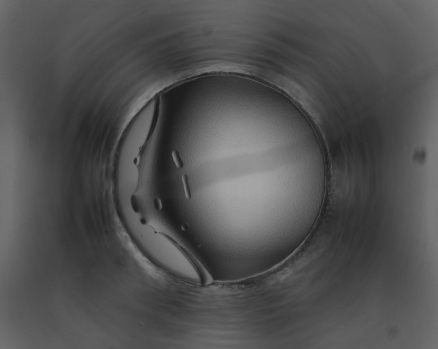 X0000092270898200710051337