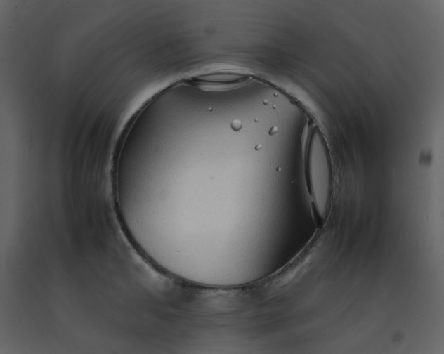 X0000092270902200710051337