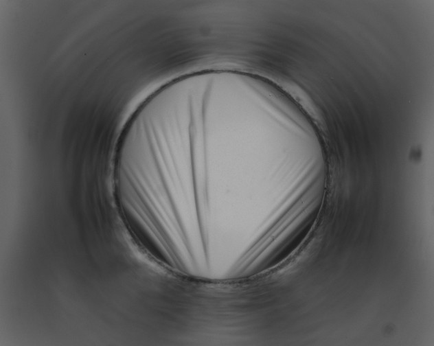 X0000092270904200710051337