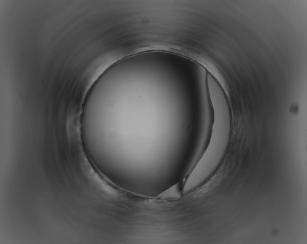 X0000092270906200710051337