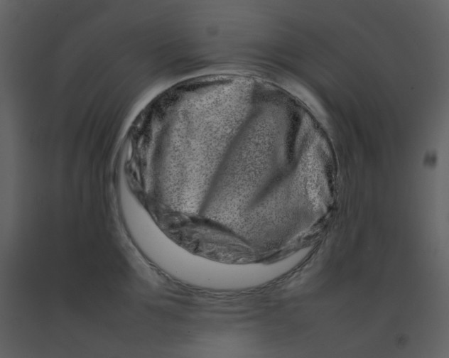 X0000092270907200710051337