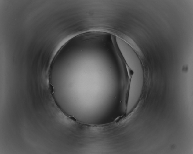 X0000092270908200710051337