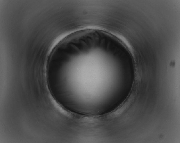 X0000092270910200710051337