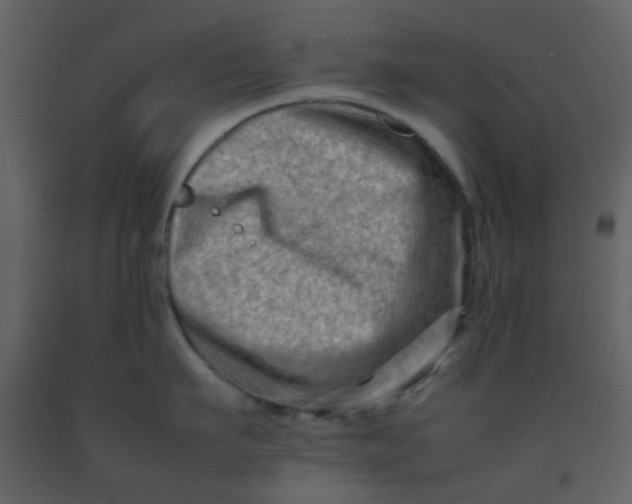 X0000092270911200710051337