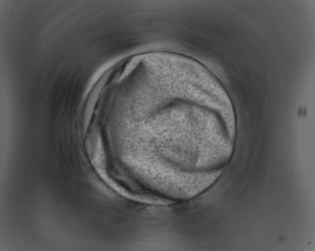 X0000092270912200710051337