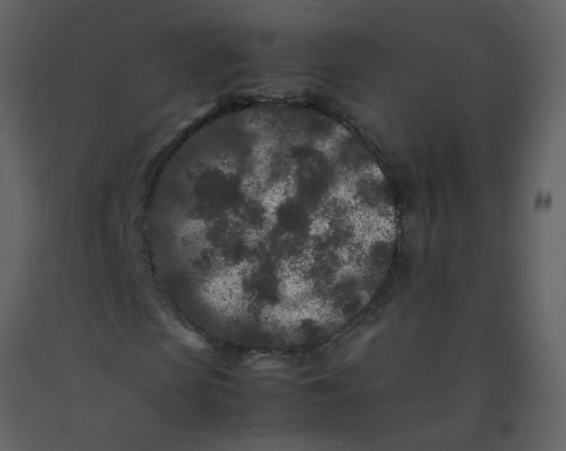 X0000092270913200710051336