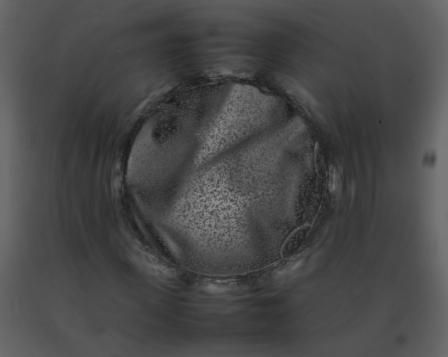 X0000092270915200710051336