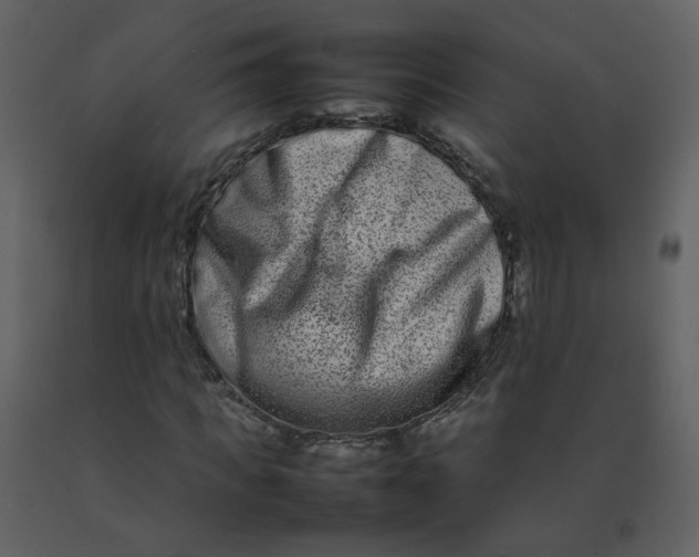 X0000092270917200710051336