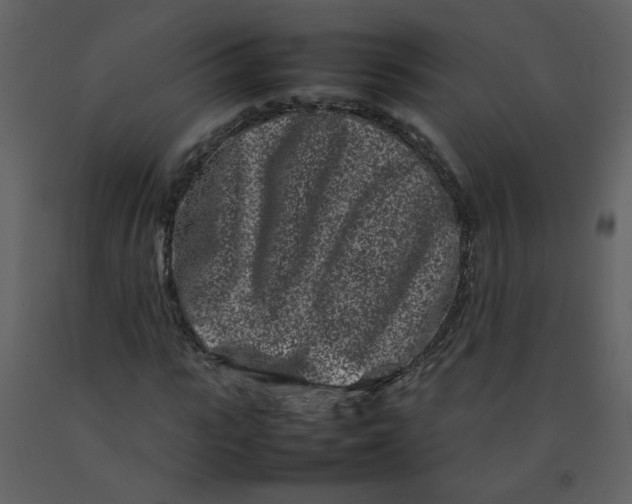 X0000092270919200710051336