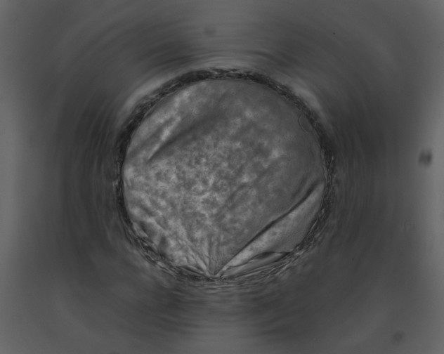 X0000092270920200710051336