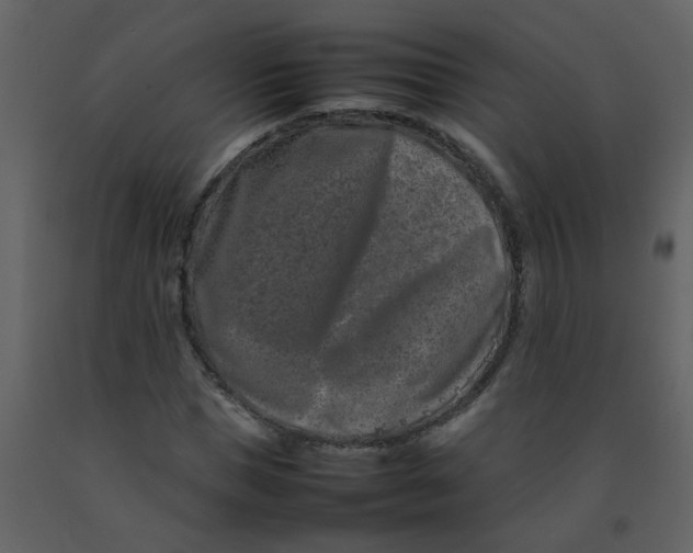 X0000092270921200710051336