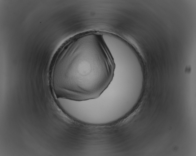 X0000092270924200710051336