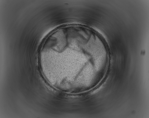 X0000092270925200710051336