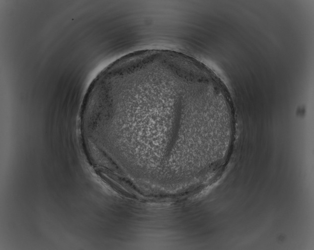 X0000092270928200710051336