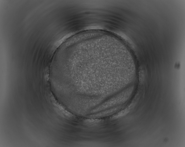 X0000092270929200710051336