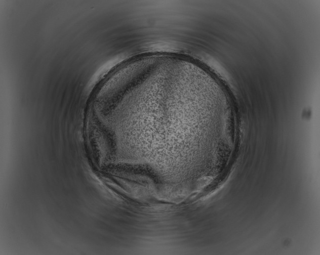 X0000092270930200710051336